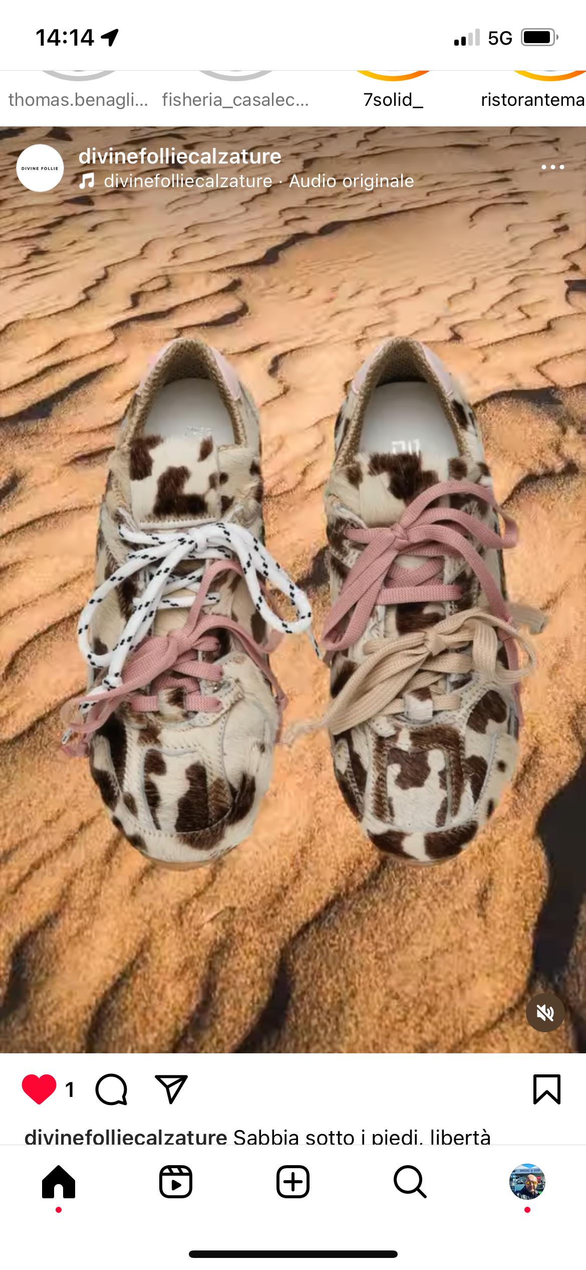 DIVINE FOLLIE - SNEAKERS SUEDE COLOR MUCCA Brown