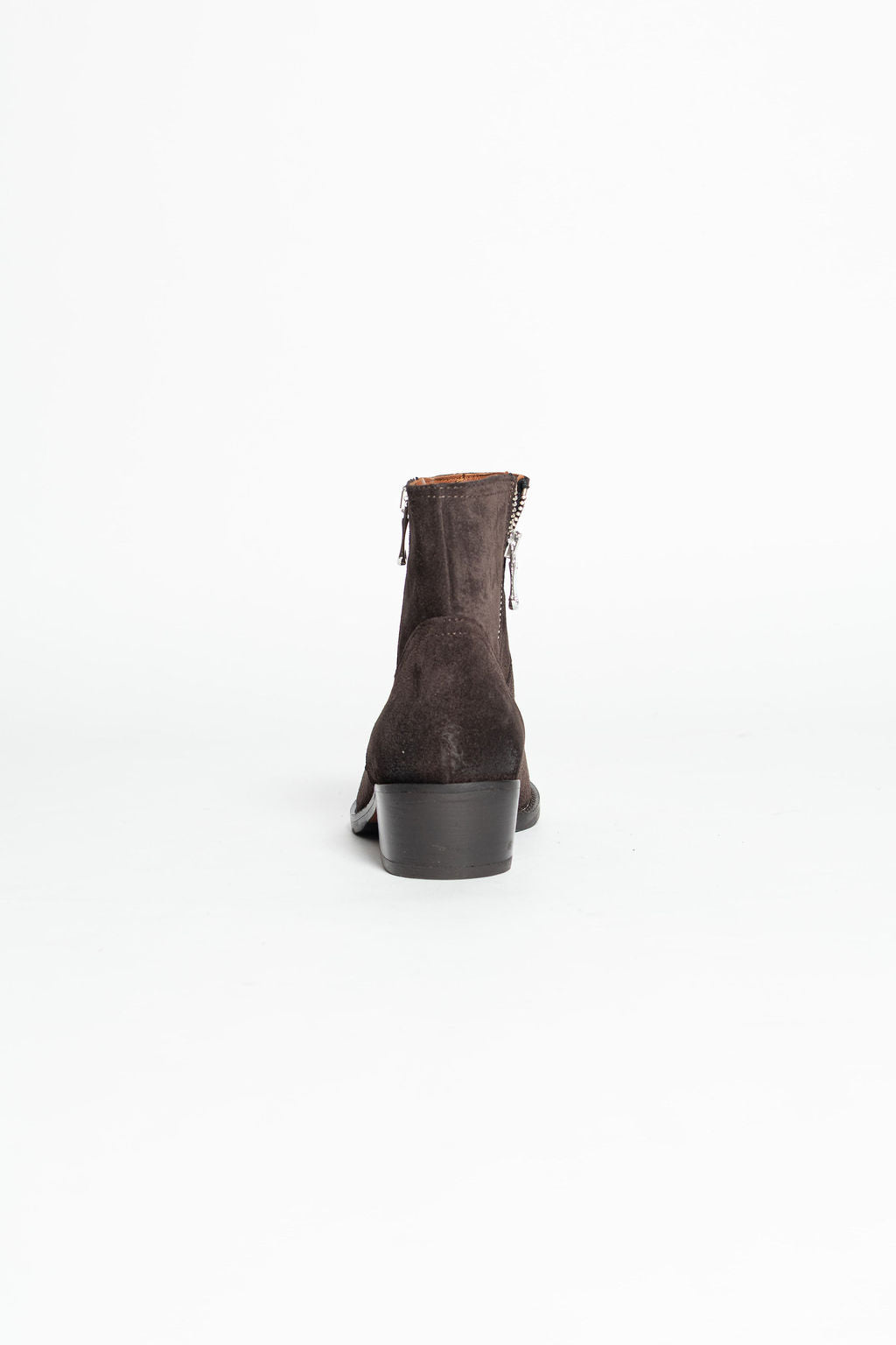 CURIOSITE TEXANI CAMOSCIO MORO